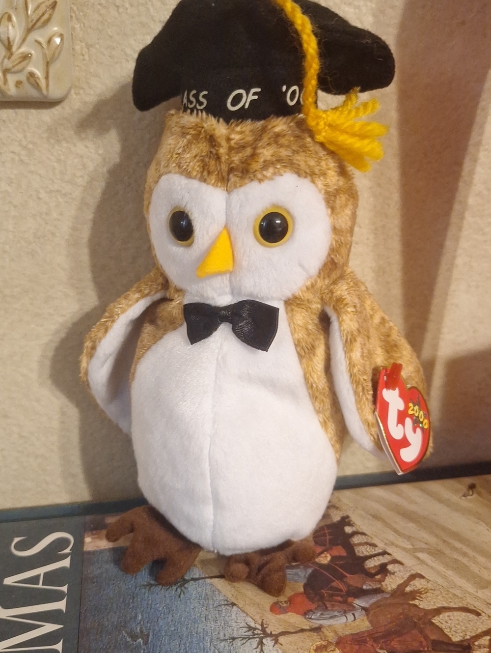 Graduation Owl Plush Toy - Brown & White - Ty Class Of 2000.